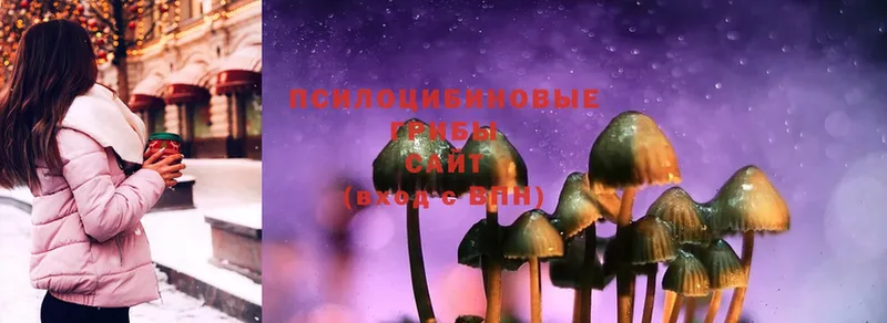 Псилоцибиновые грибы MAGIC MUSHROOMS  наркота  MEGA ONION  Трубчевск 